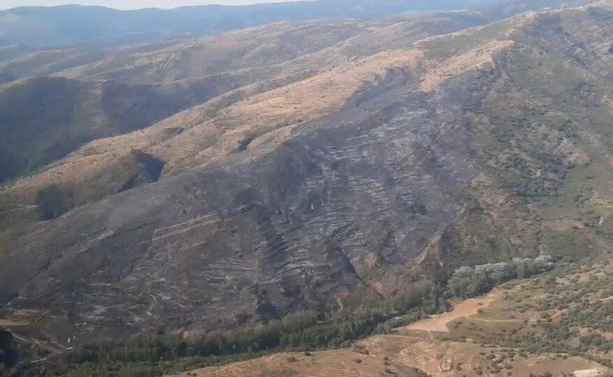 Extinguido el incendio forestal en Valdeperillo