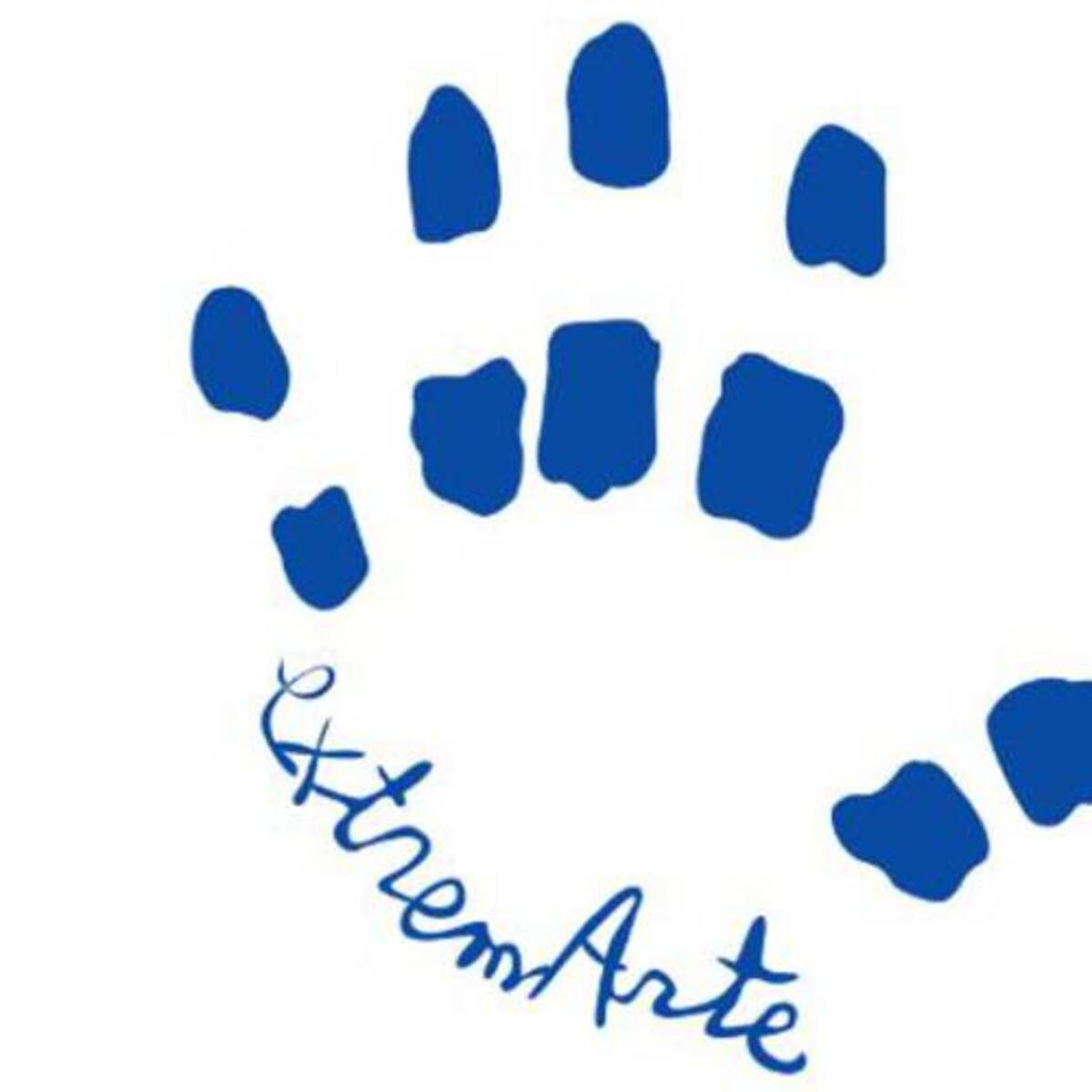 Proyecto educativo Extremarte