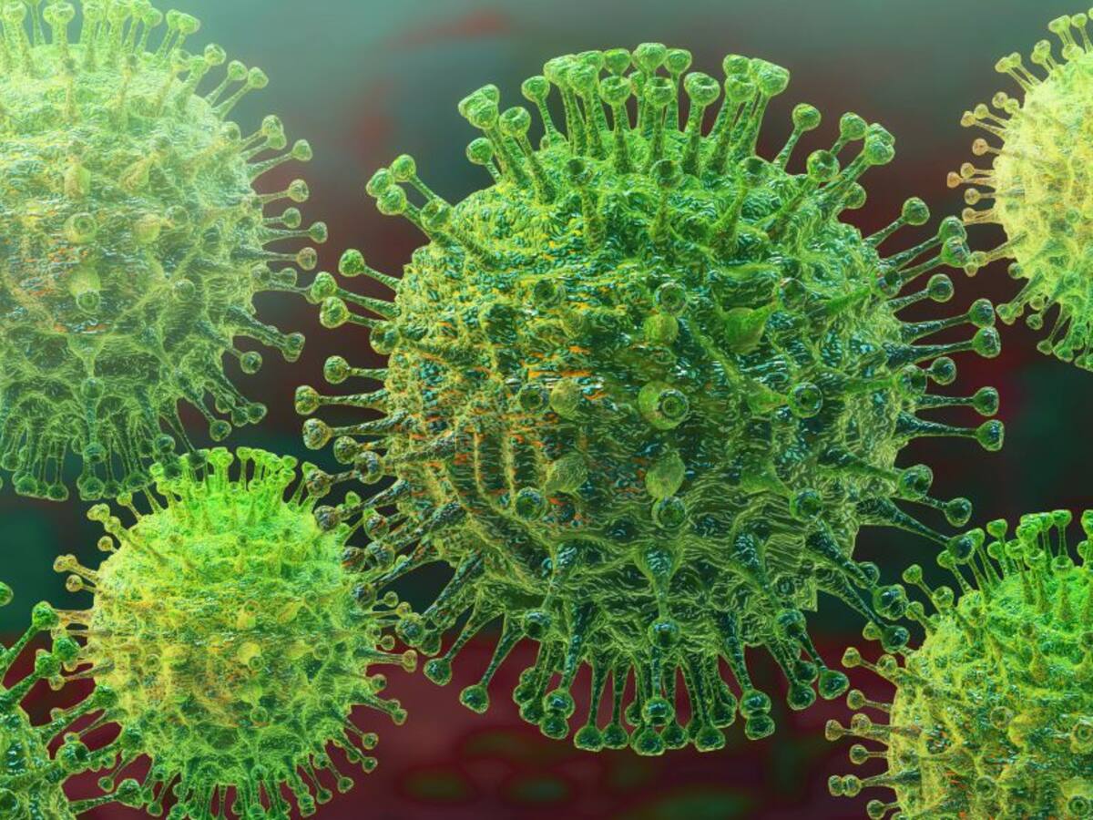 Manuel Bernardo: 'Los virus buscan sus oportunidades'