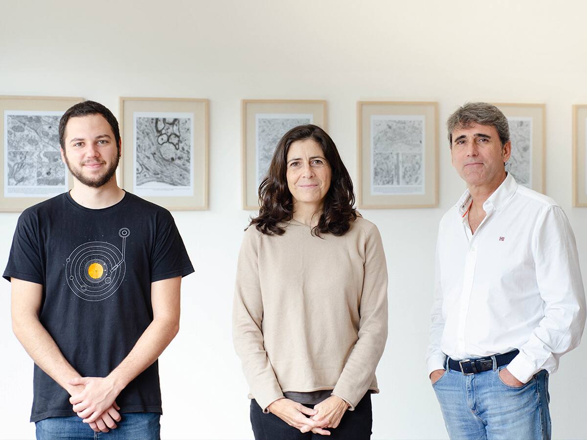 Un estudio del Instituto de Neurociencias de la UMH revela la distribución de receptores de NMDA en individuos con alzhéimer