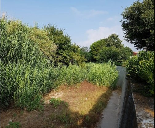 Barranc de Beniteixir a su paso por Palmera. Imagen de archivo.