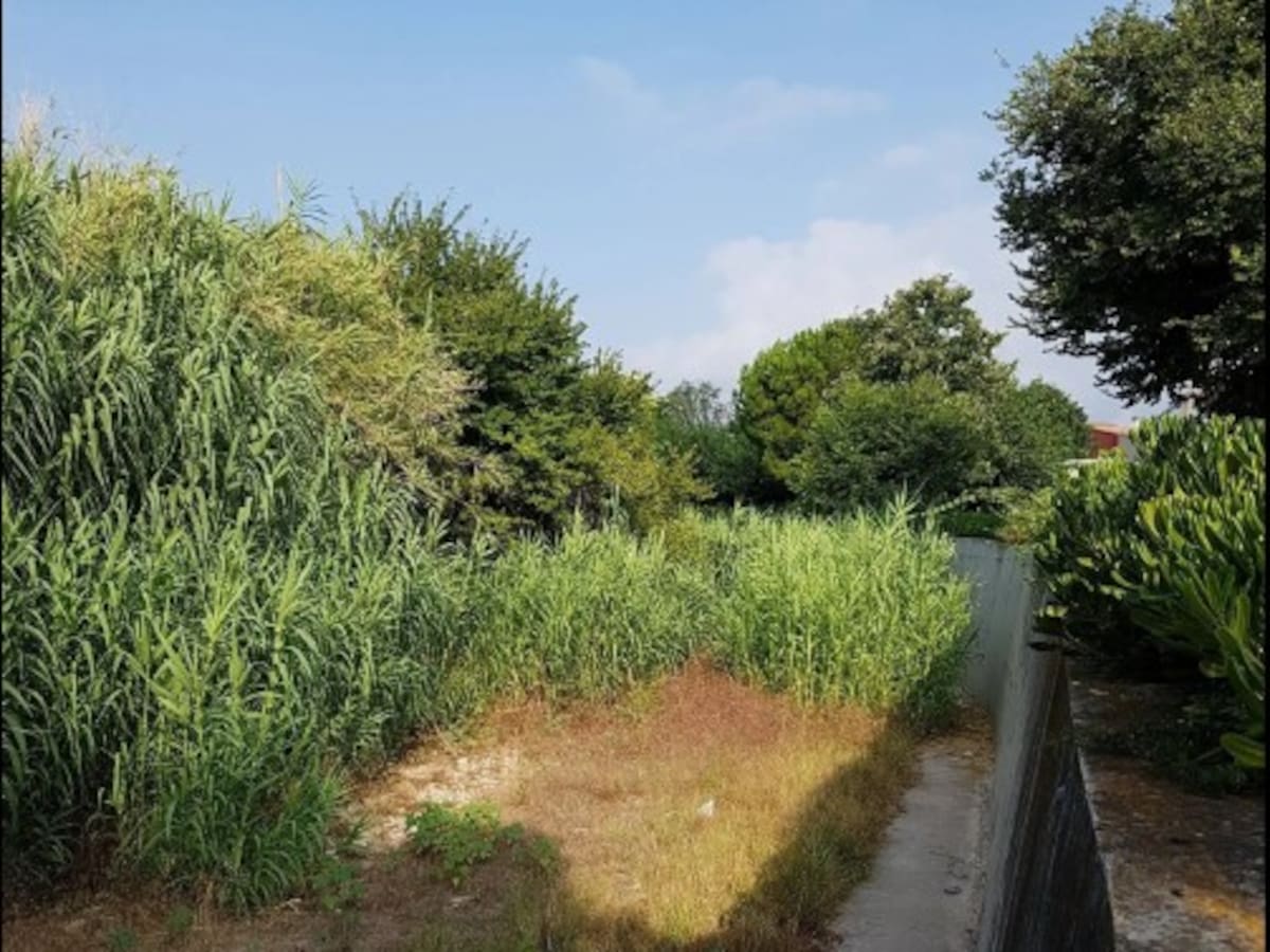 La Confederación pondrá en marcha un plan de inundabilidad del barranco de Beniteixir