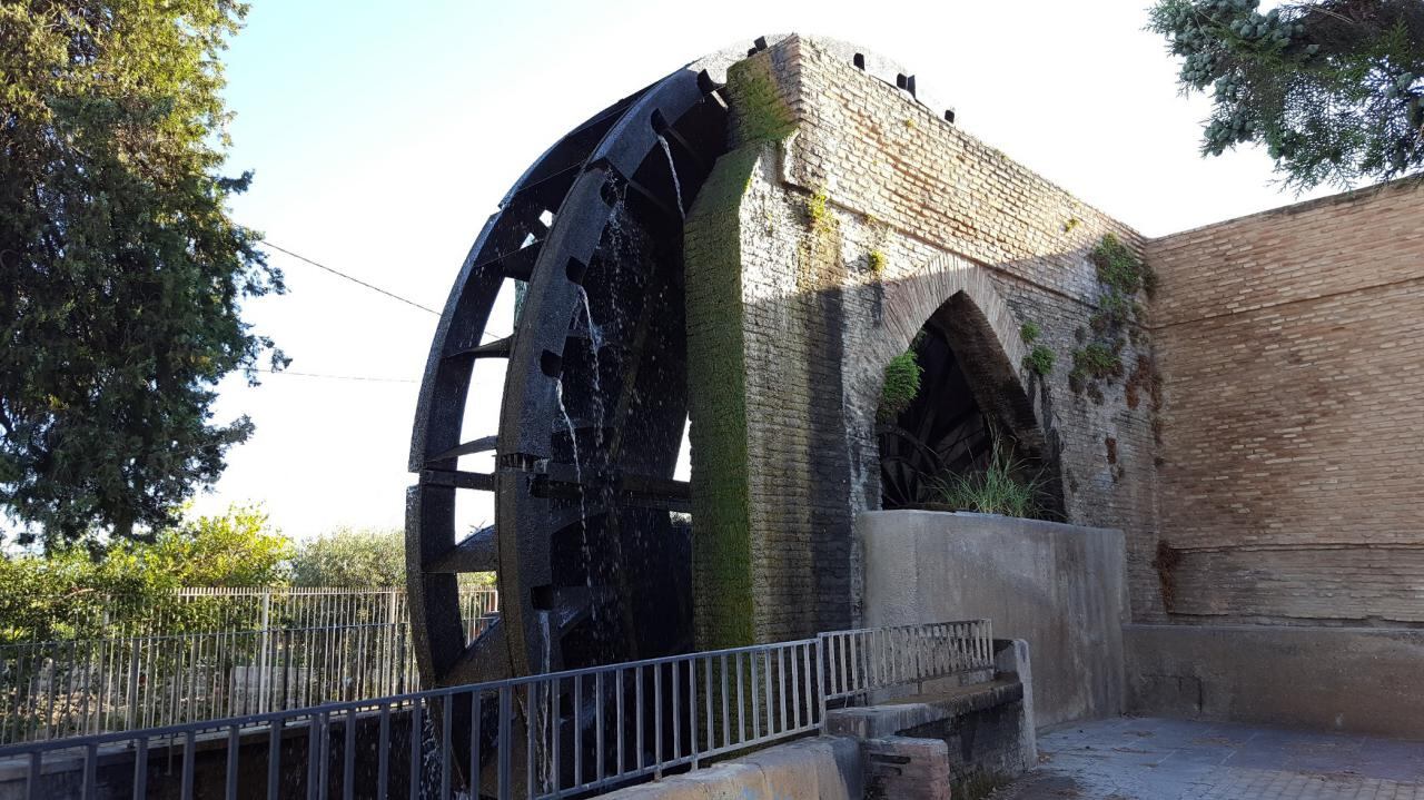 Rueda de La Ñora, en Murcia