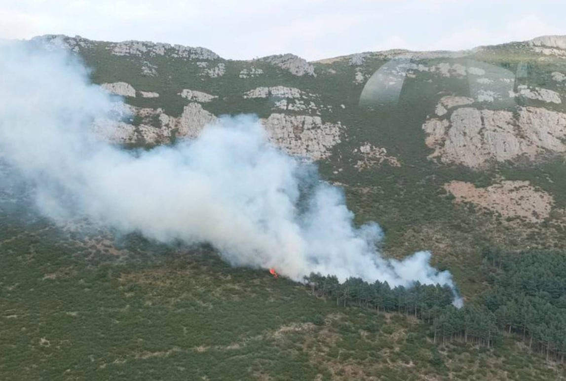 Incendio declarado en una zona forestal de Cantalojas (Guadalajara)