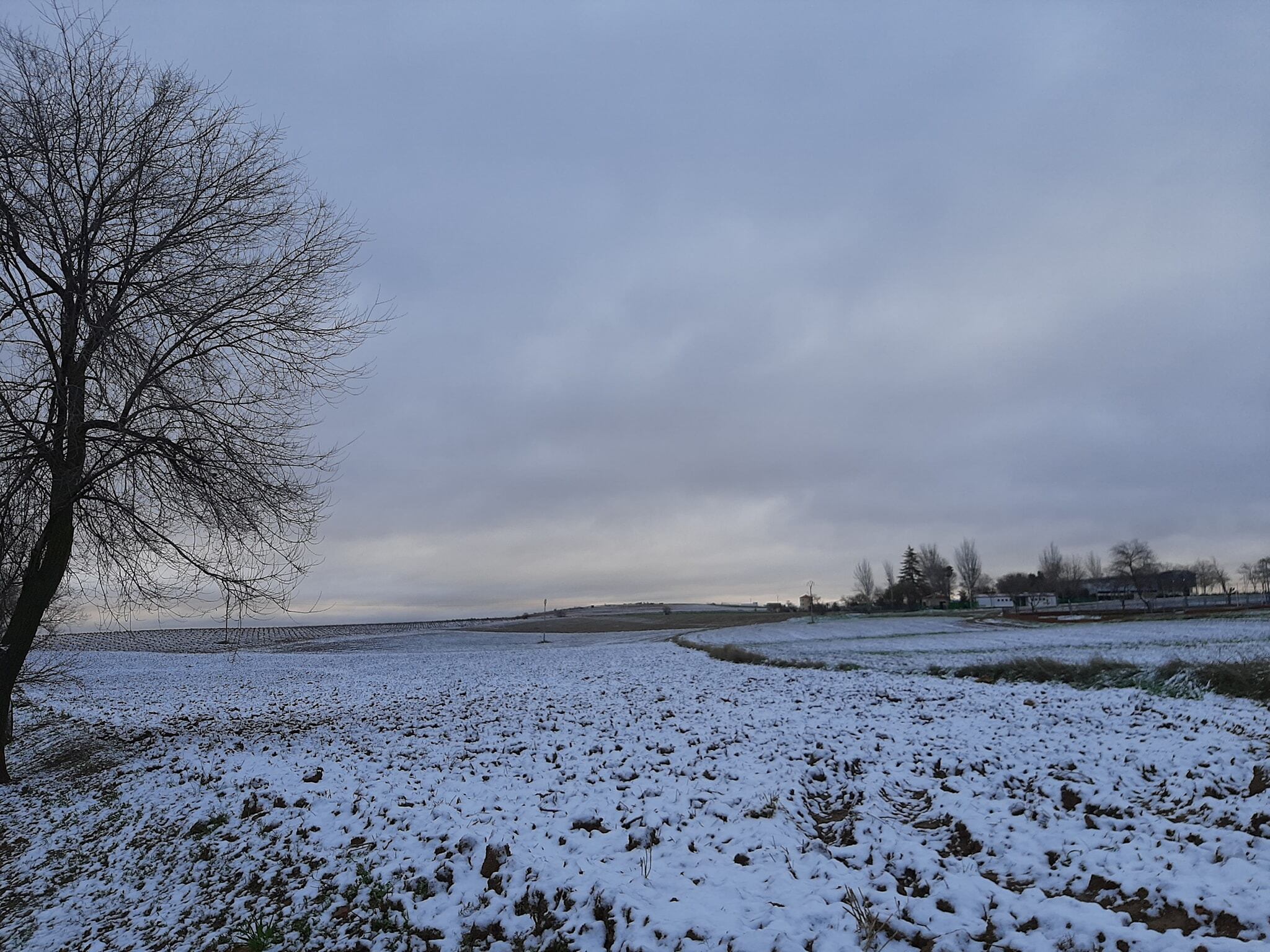 Imagen de la nieve cuajada en el campo del término municipal de Cózar (Ciudad Real)