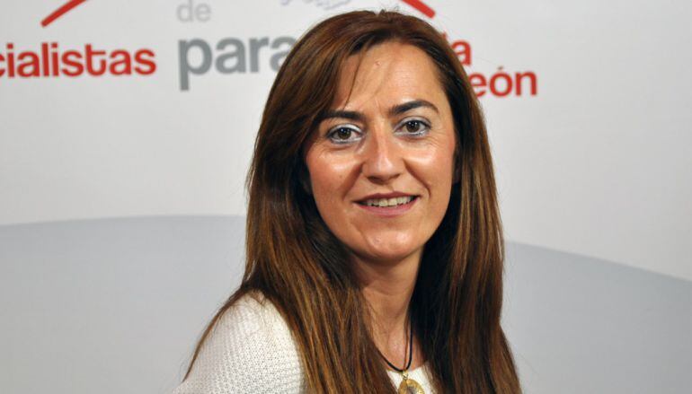 Virginia Barcones, delegada del Gobierno en Castilla y León