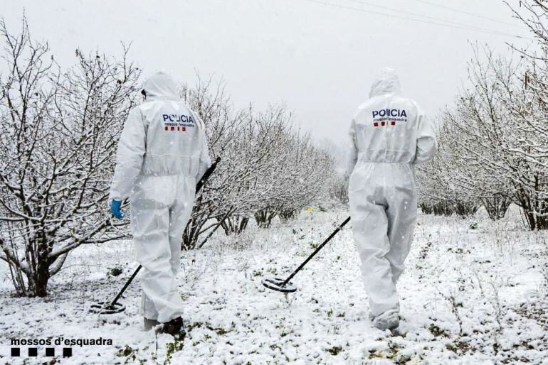 Els Mossos han rastrejat amb detectors de metall tres terrenys agrícoles relacionats amb Magentí. No ha aparegut cap arma