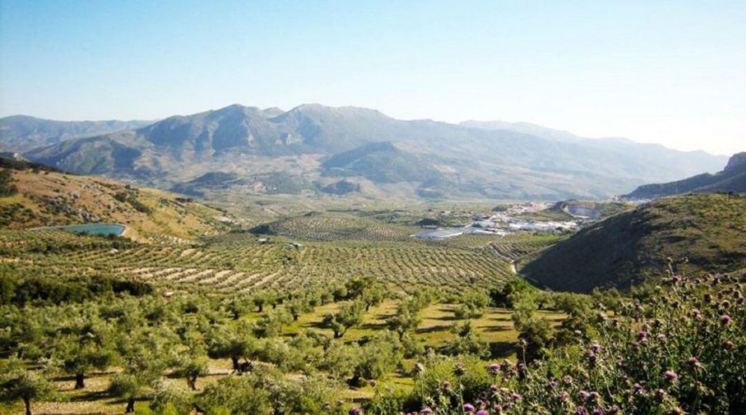 Vista del macizo de Sierra Mágina desde términos municipales de Jódar-Bedmar