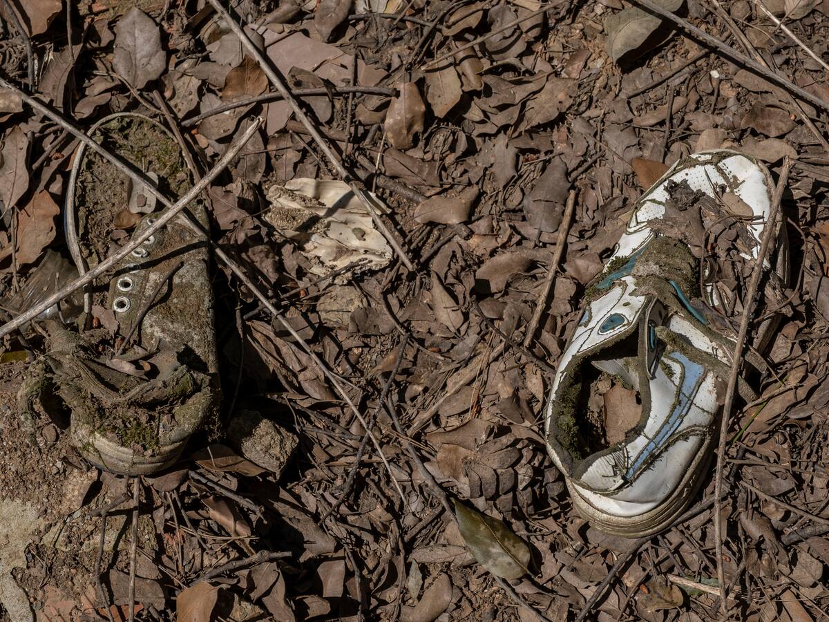 Entrevista a Rafa Reolid, gerente de Gerescal