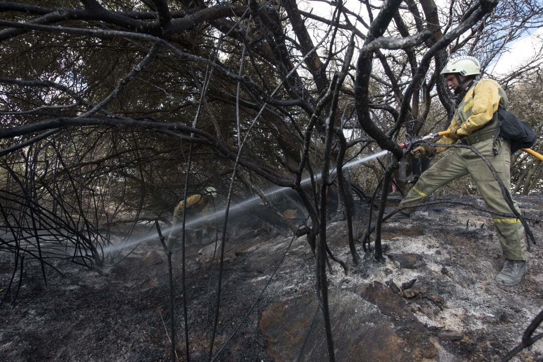 Efectivos de Bomberos trabajan en la extinción de un incendio forestal