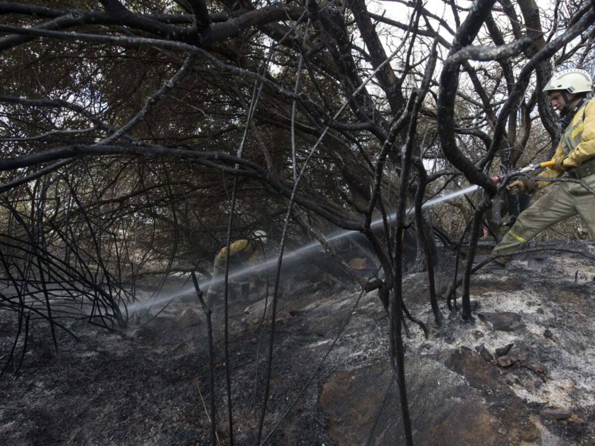 Incendios forestales: más vale prevenir