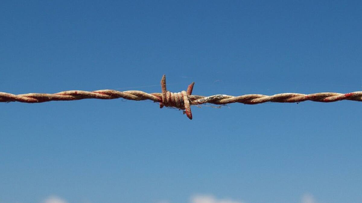 “Ayudad a los niños vascos”