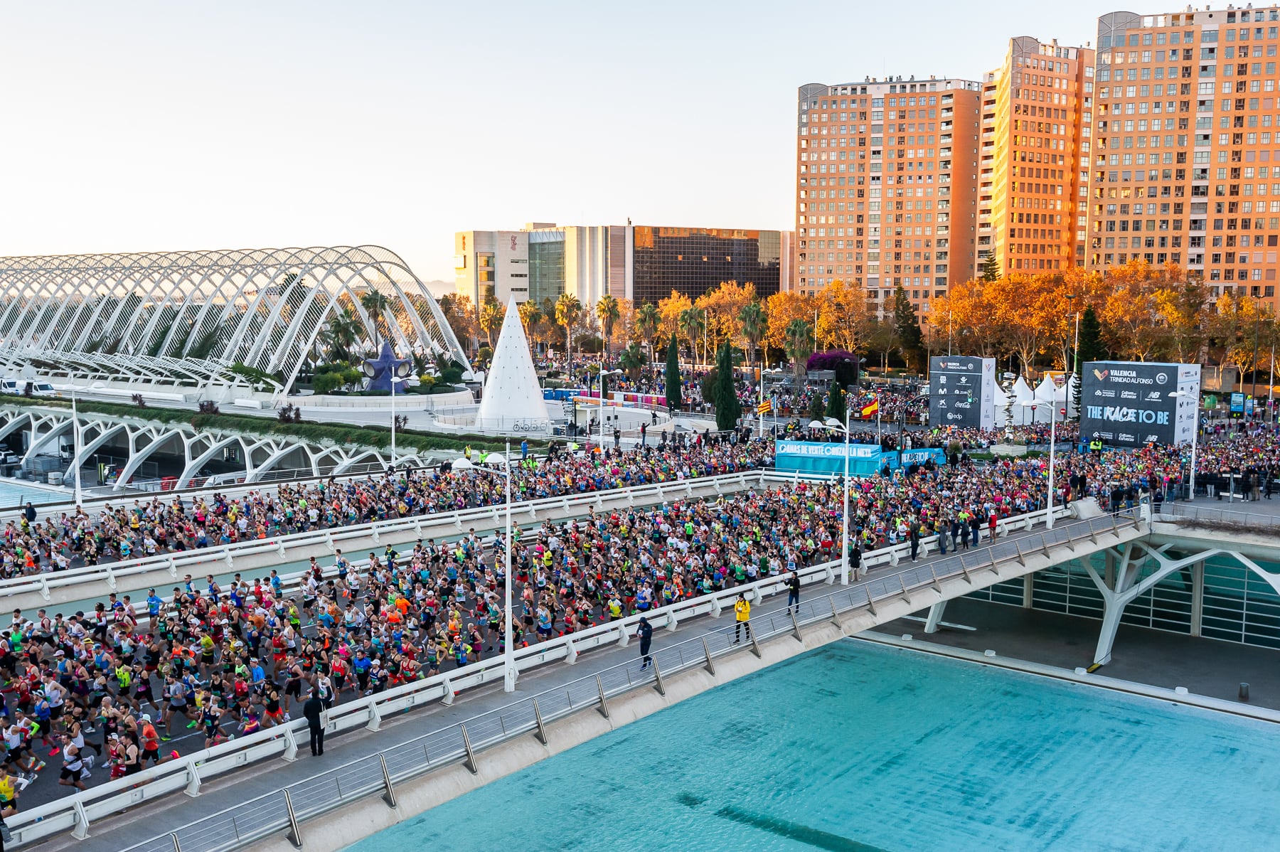 Maratón Valencia 2023