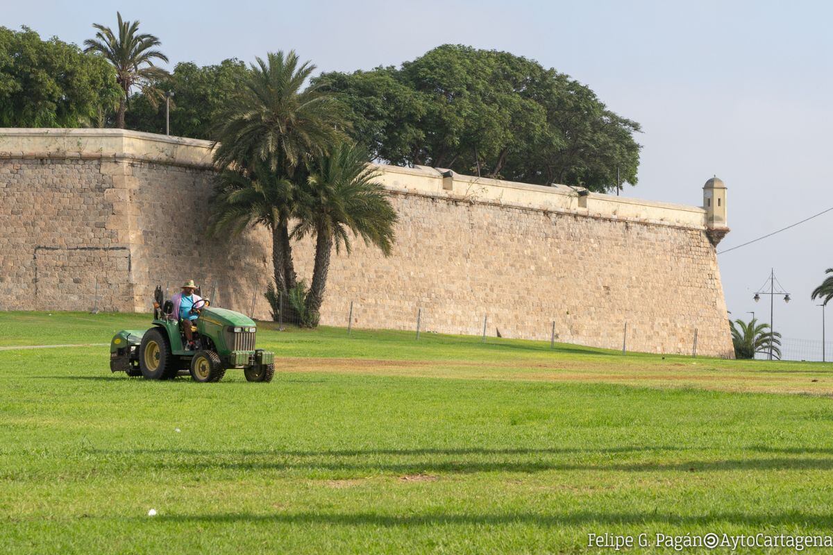 Ha comenzado la operación de refuerzo de la pradera de El Batel