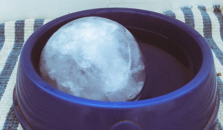 La bola de hielo para refrescar el agua del perro