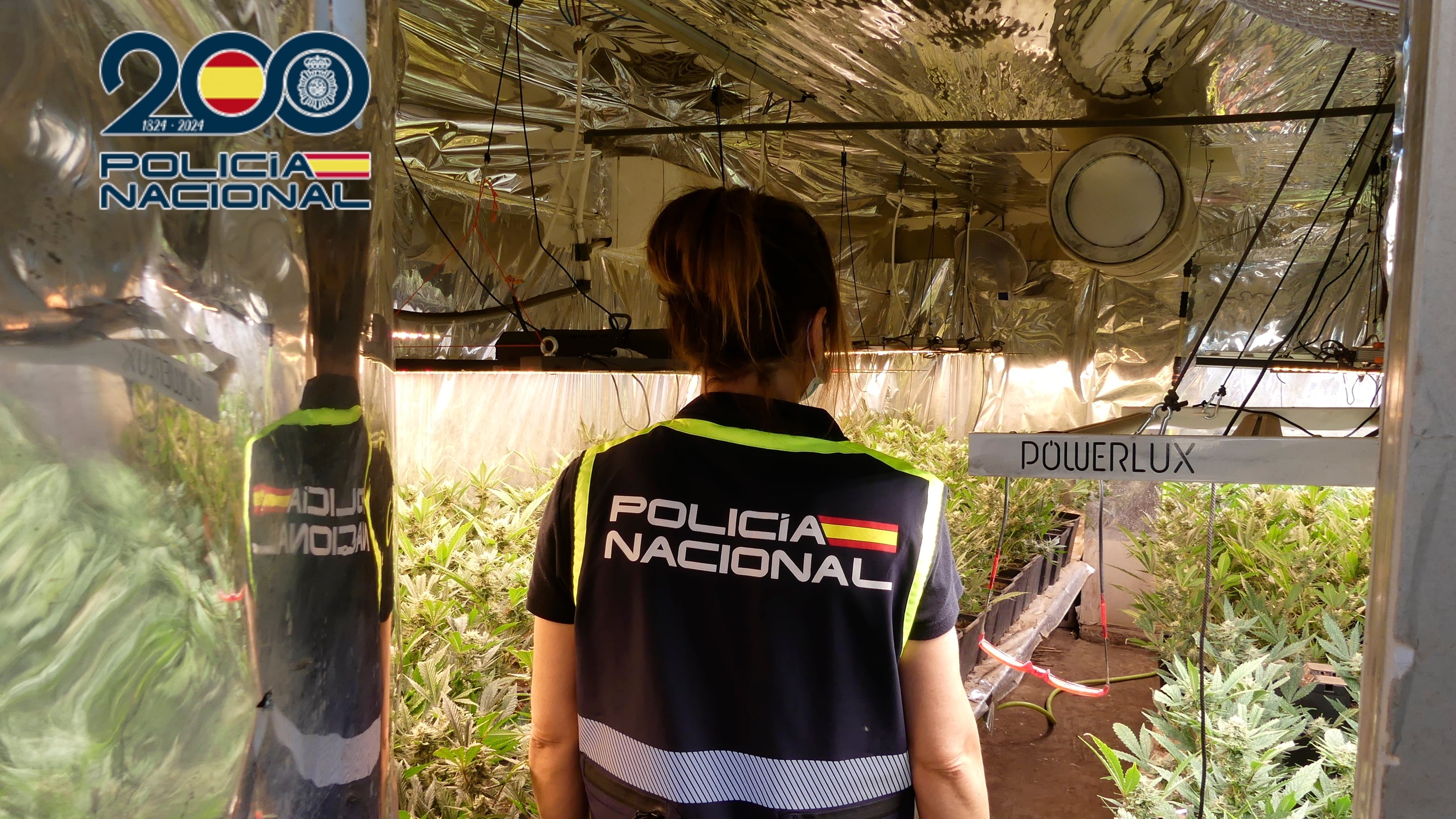 El arresto se produjo tras localizar una plantación “indoor” de marihuana en pleno rendimiento
