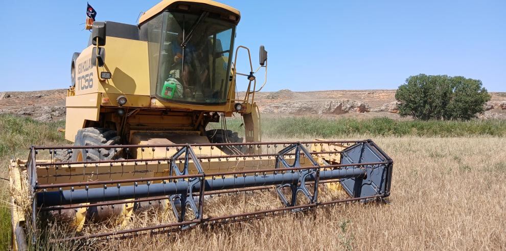 El departamento de Agricultura, Ganadería y Alimentación abona más de 18 millones de euros en el segundo anticipo de la PAC