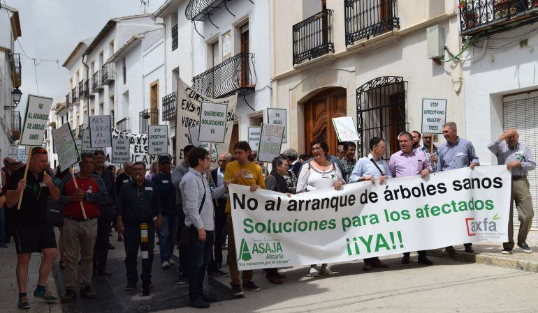 Manifestación de los afectados por la Xylella. Benissa.