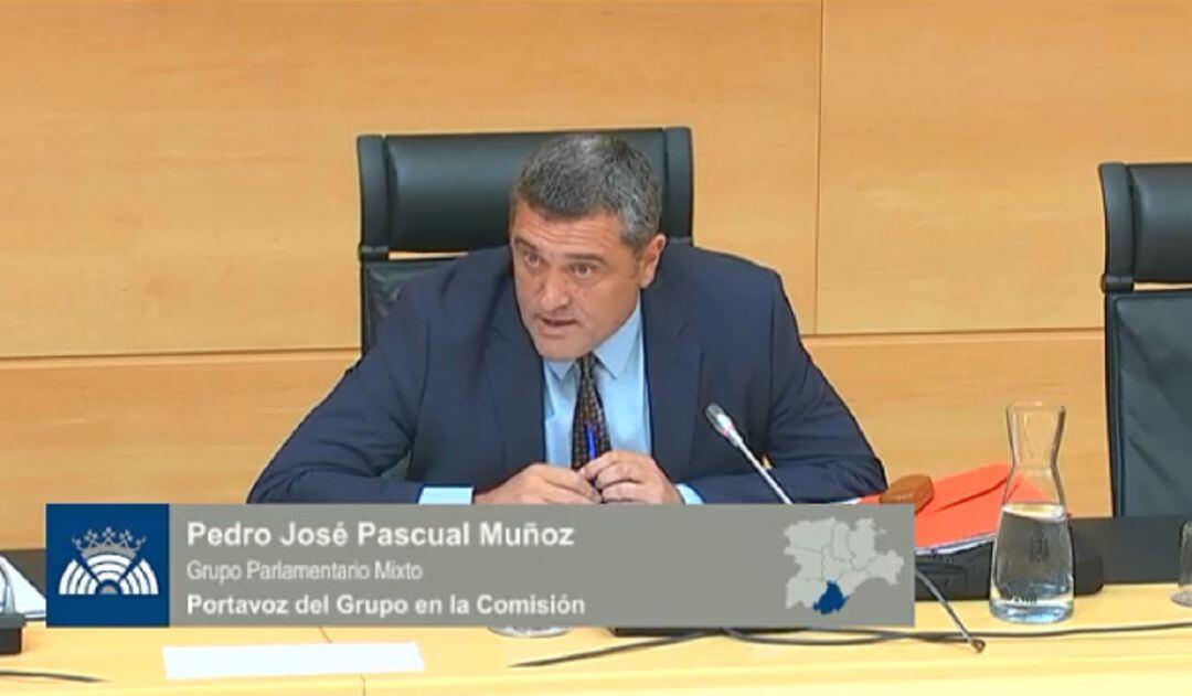 Pedro Pascual durante su intervención