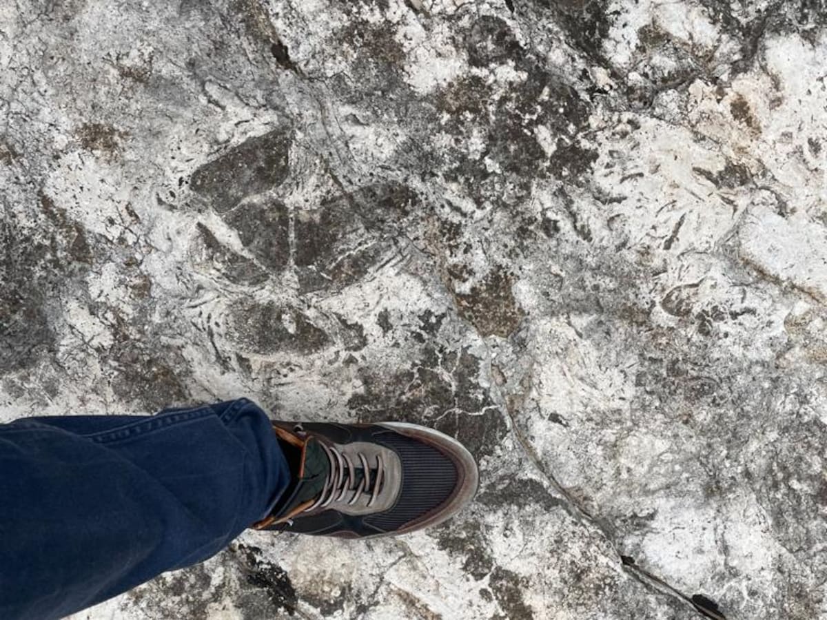 Ser Viajeros Comunitat Valenciana (05/11/2022)