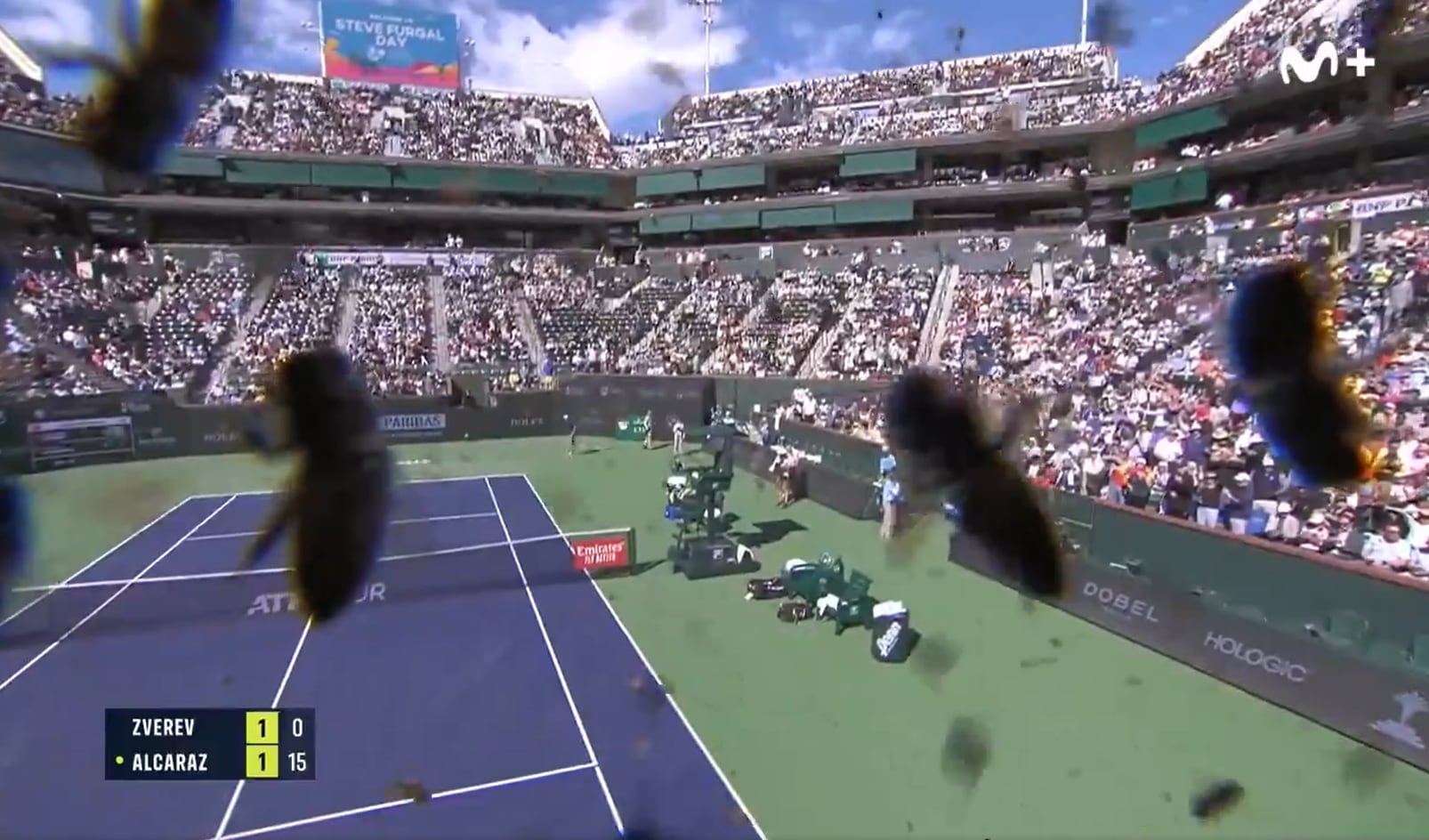 Un enjambre de abejas obliga a suspender el encuentro entre Carlos Alcaraz y Alexander Zverev de Indian Wells.