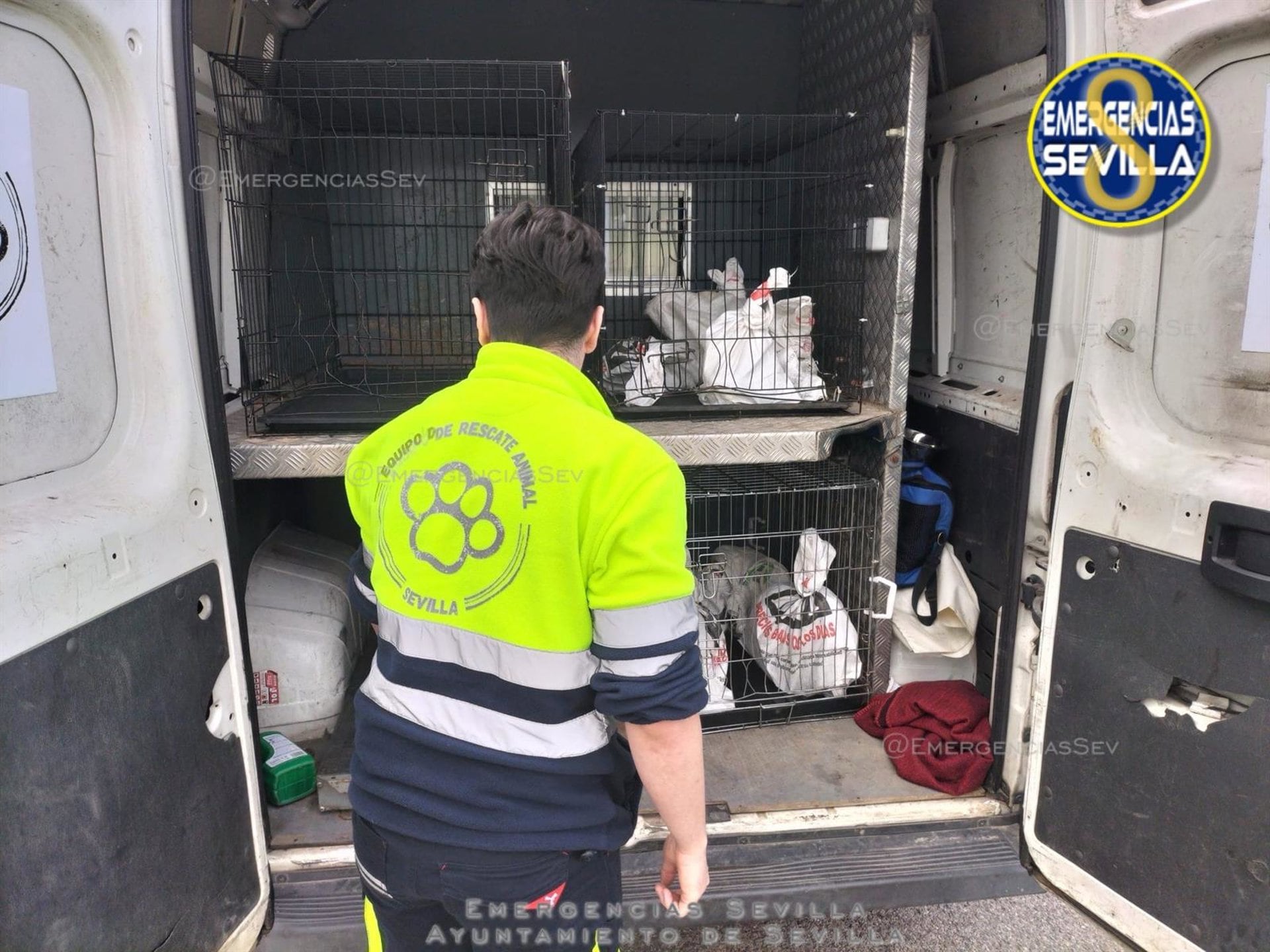 10/03/2026 Un agente de Zoosanitario interviende varios gallos de pelea en SevillaPOLITICA ANDALUCÍA ESPAÑA EUROPA SEVILLA
EMERGENCIAS SEVILLA
