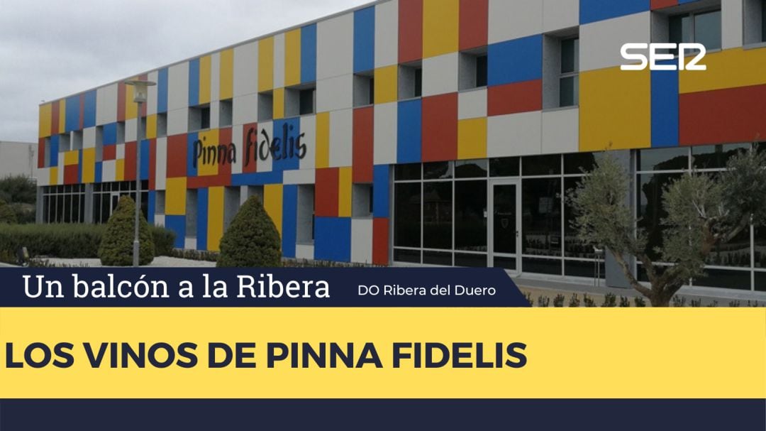 Pinna Fidelis