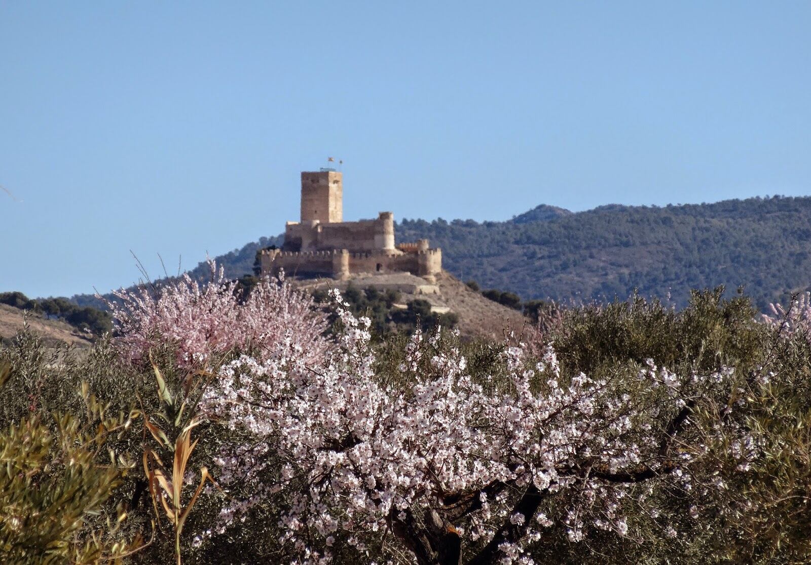 Castillo de Biar al fondo