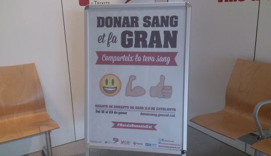 Cartell promocional de la campanya.