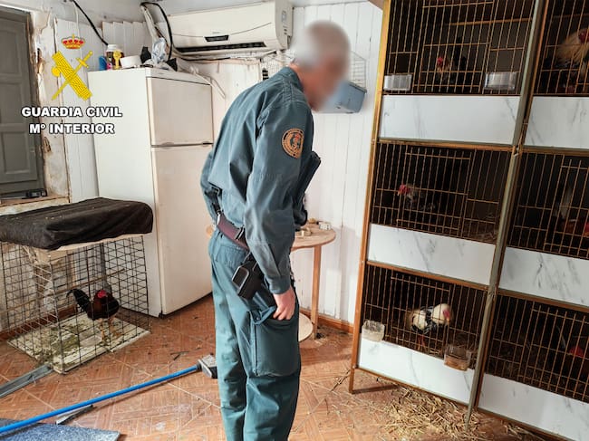 Un agente de la Guardia Civil en el inmueble donde localizaron los gallos
