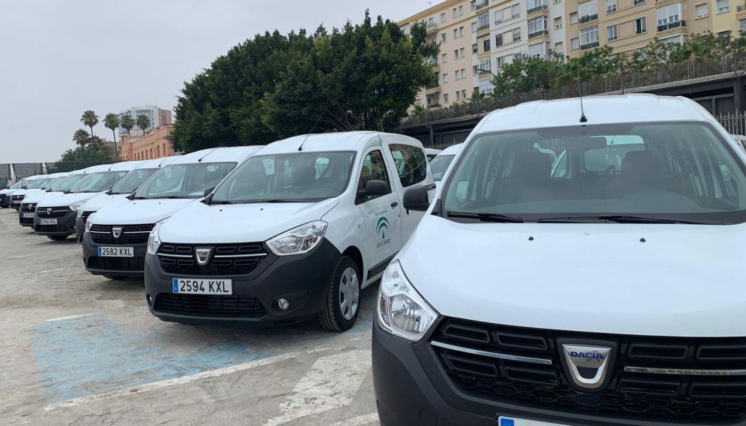 Las furgonetas de la Junta esta mañana en el puerto de Málaga
