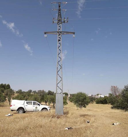 Cigüeñas muertas en Portalrubio de Guadamejud, en Cuenca.