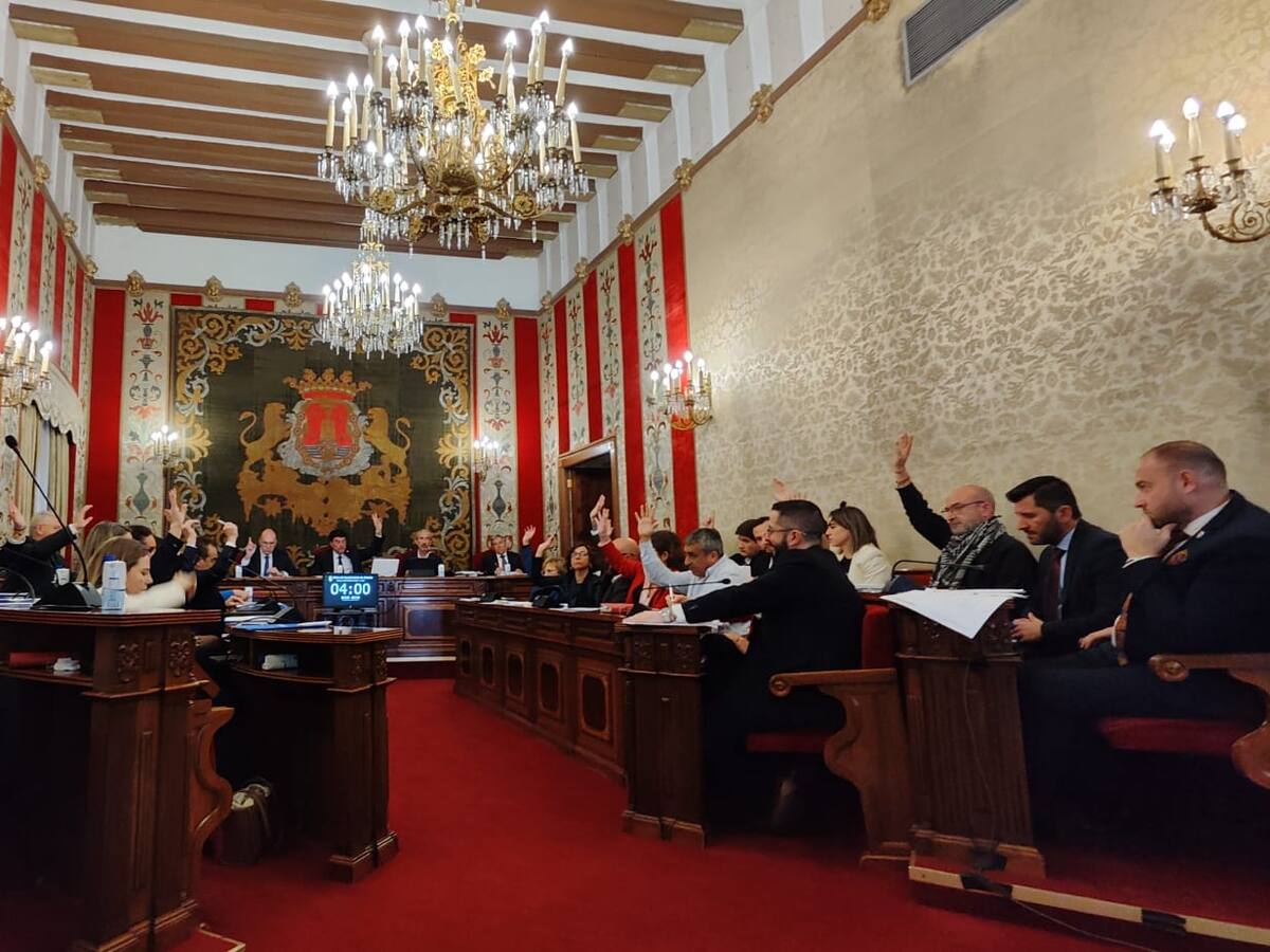 Los desahucios, el estado de los colegios o los macrodepósitos del Puerto marcan un polémico Pleno en el Ayuntamiento