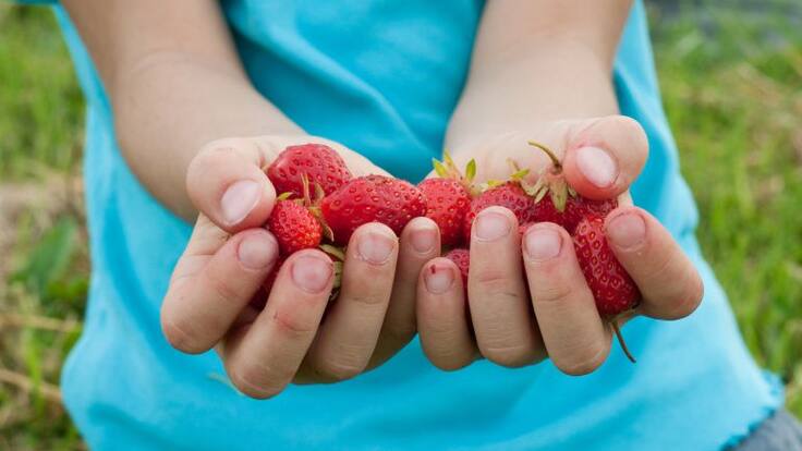 La Llavor (03/03/2018)