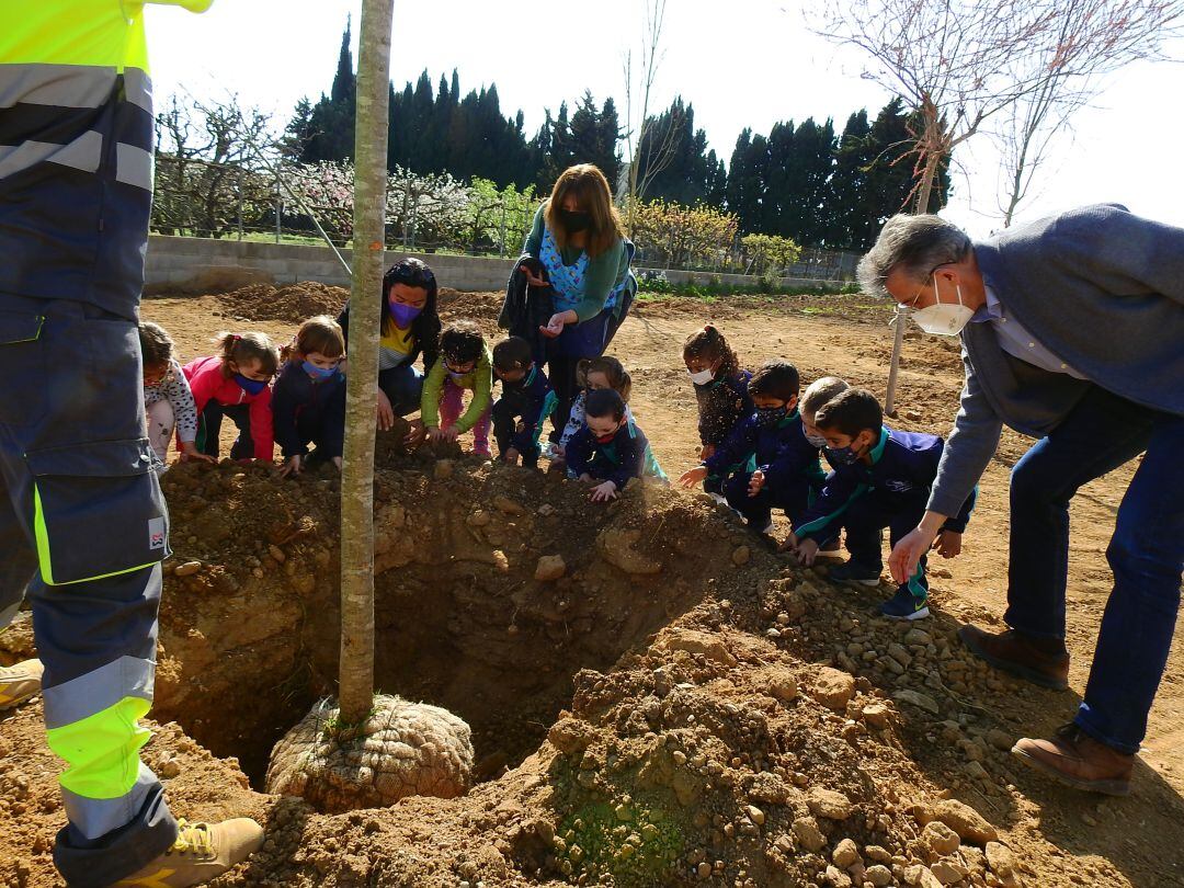 Decenas de ayuntamientos de toda España han participado en esta campaña