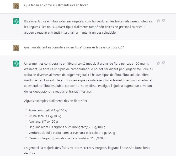 El xat GPT respon preguntes bàsiques de l'ESO