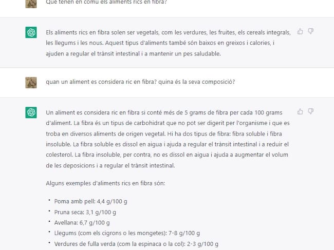 El xat GPT respon preguntes bàsiques de l'ESO