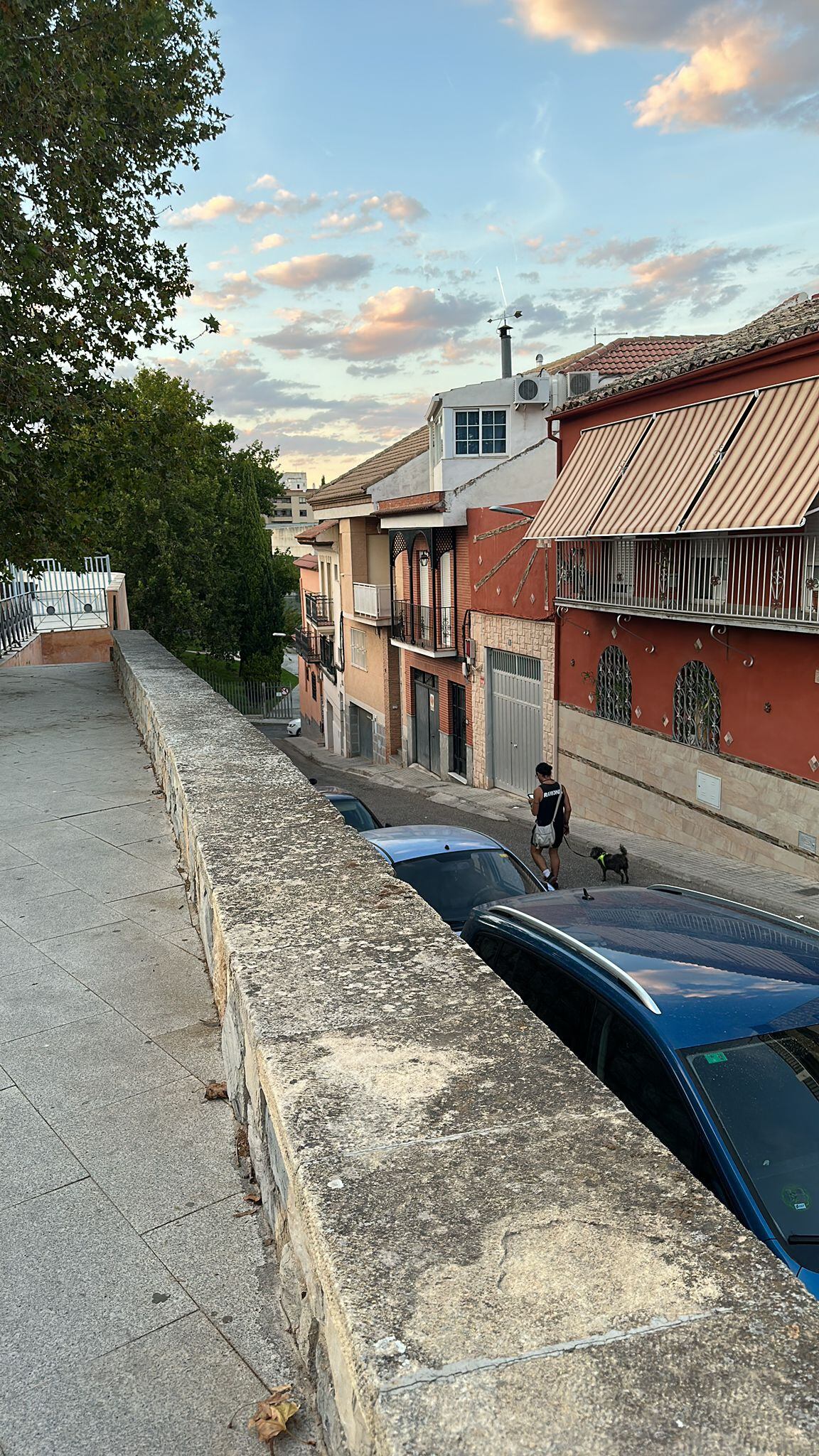 Valla de la calle Arrastradero de Jaén desde la que cayó Gema.