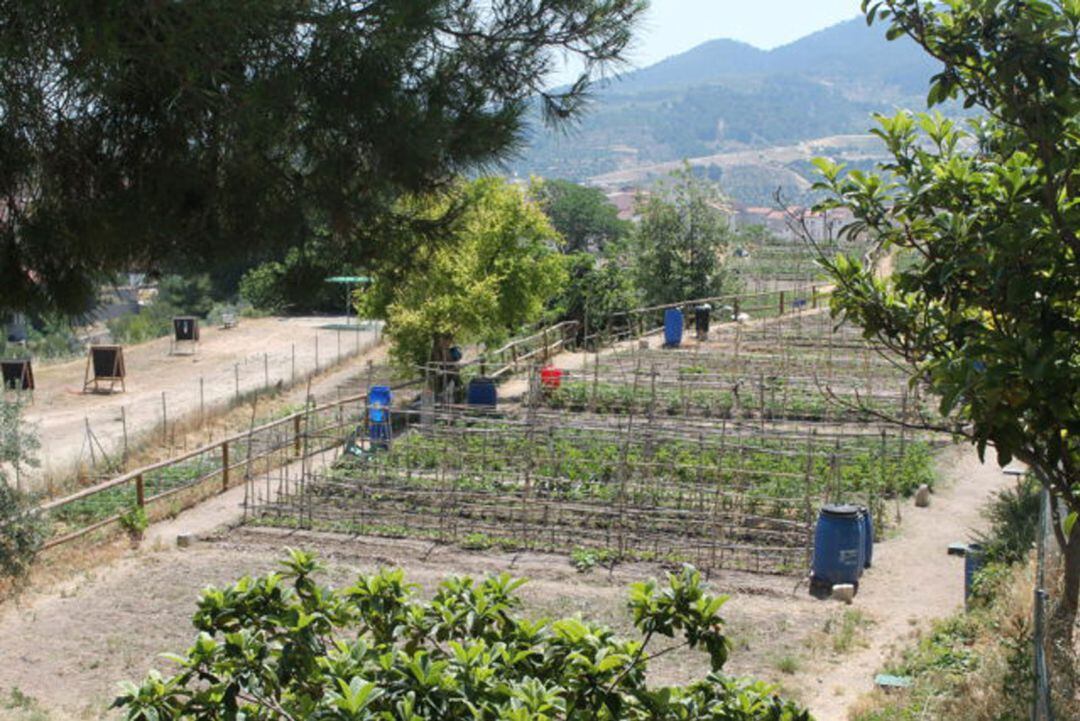Los usuarios de los huertos sociales pueden regresar a las parcerlas municipales tras semanas de paralización por el estado de alarma.