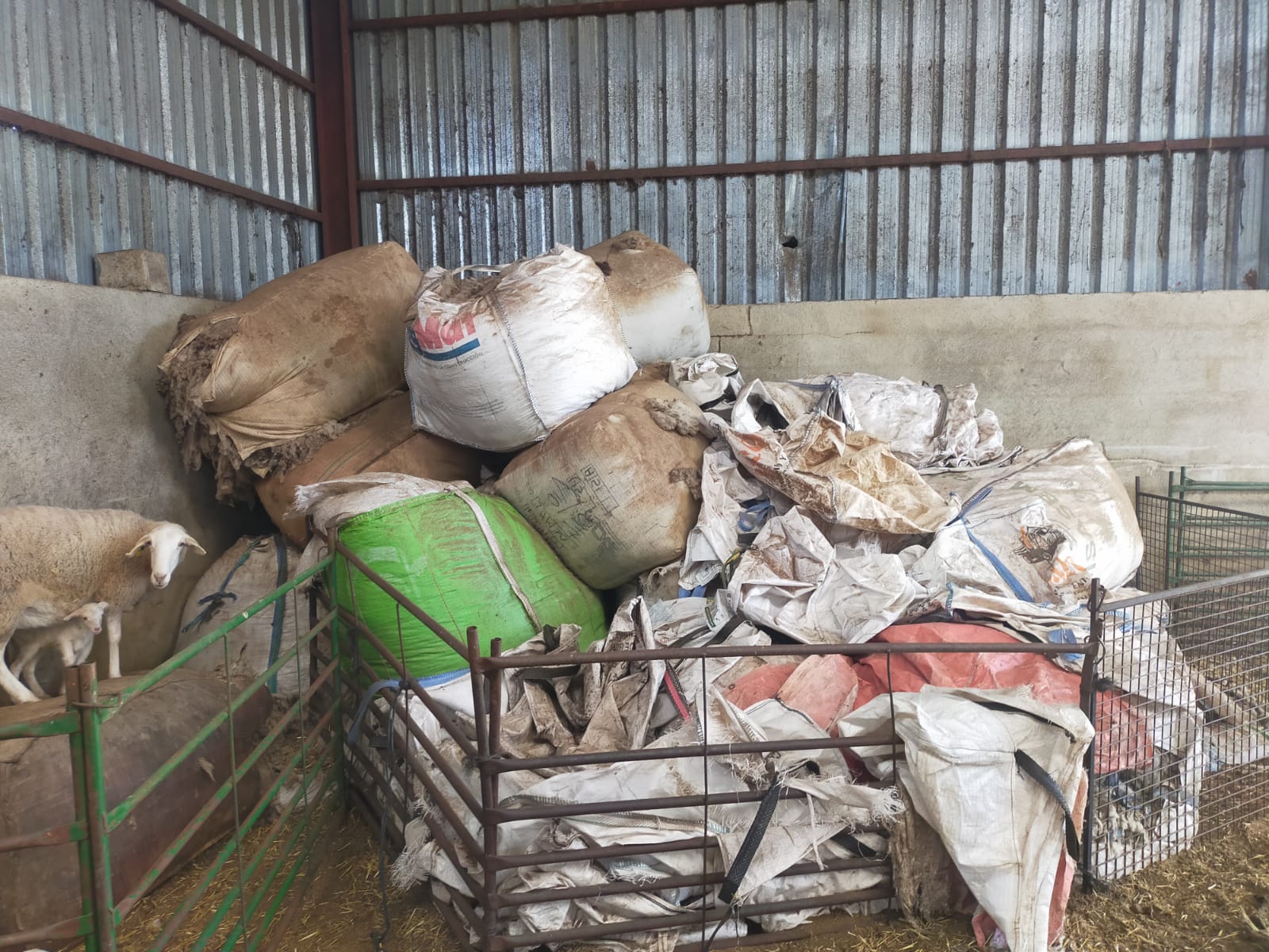 Bolsas de lana acumulada en una nave  en Cuenca