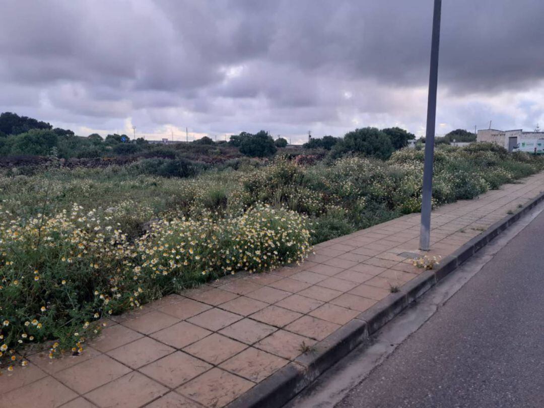 Els nous jutjats de Ciutadella s'ubicaran en aquesta parcela municipal de la zona de Santa Rita.