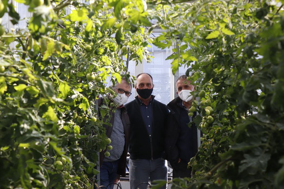 Investigadores de La Mayora. De izquierda a derecha Gonzalo Claros, Enrique Moriones (director) e Iñaki Hormaza