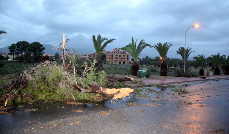 Així ha quedat la zona de Mont-roig després del petit tornado.