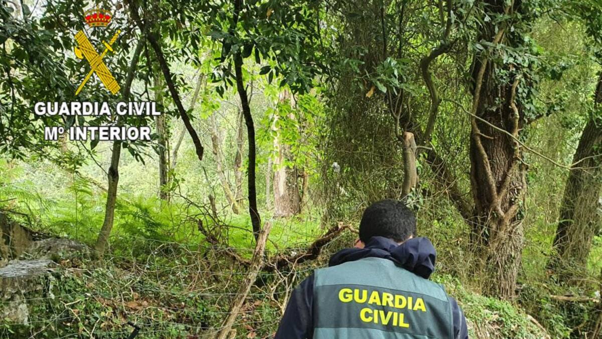 Detenido tras cometer nueve robos en Asturias, Cantabria y La Rioja