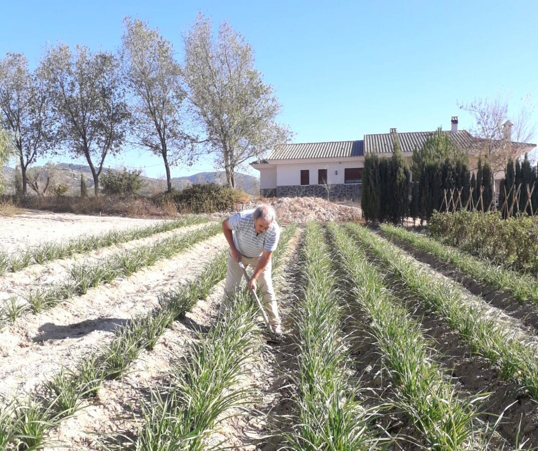 José Domingo, en su Eco Huerto Sax 