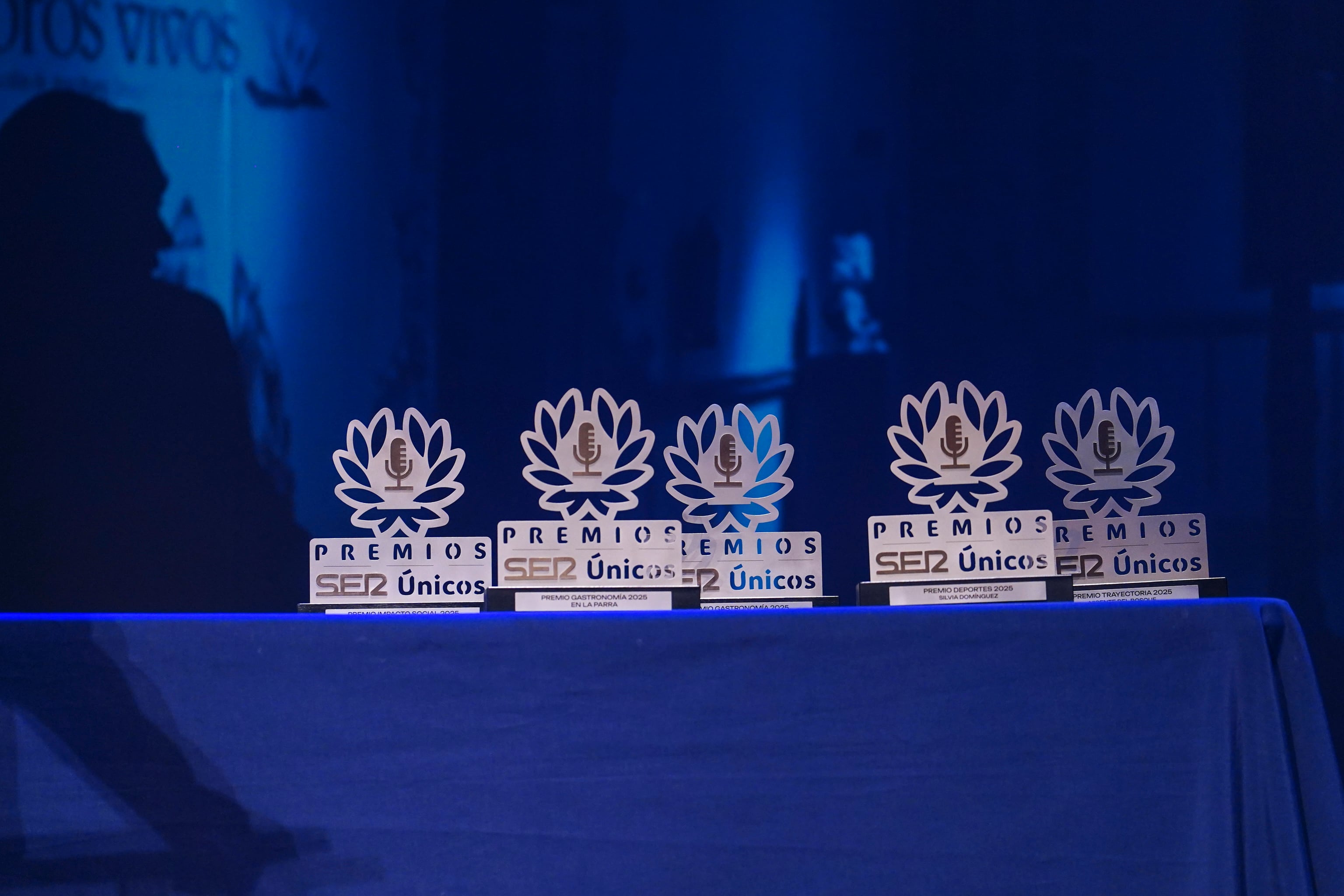 Teatro Liceo de Salamanca. Premios SER UNICOS