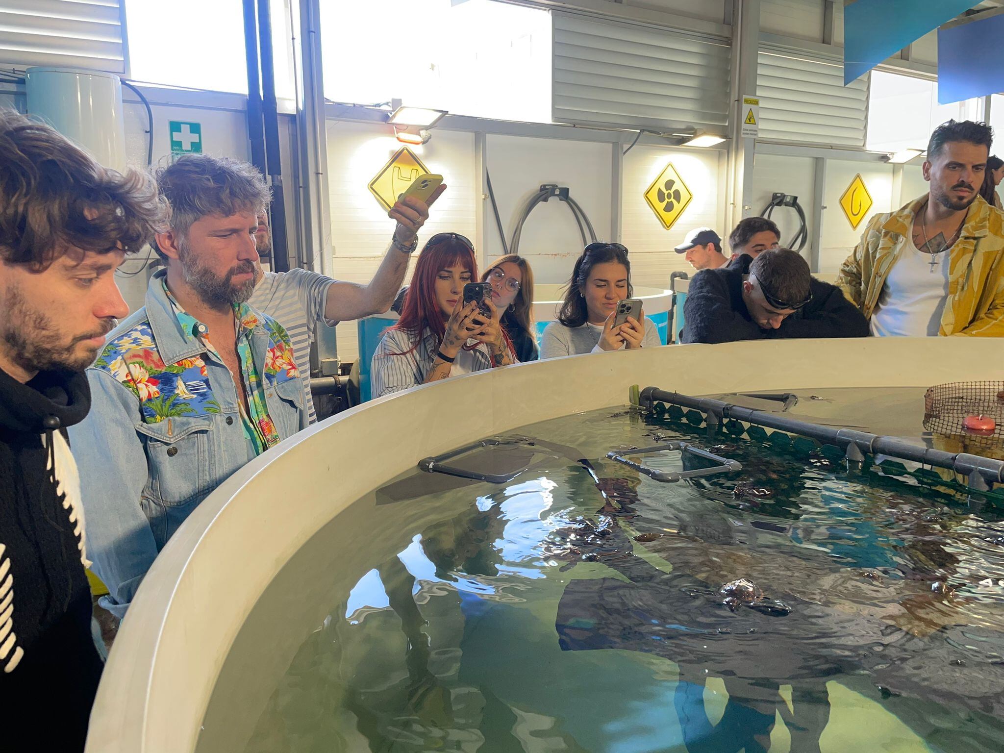 Artistas y locutores de LOS40 liberan tortugas marinas junto al Oceanogràfic en una jornada por el medio ambiente