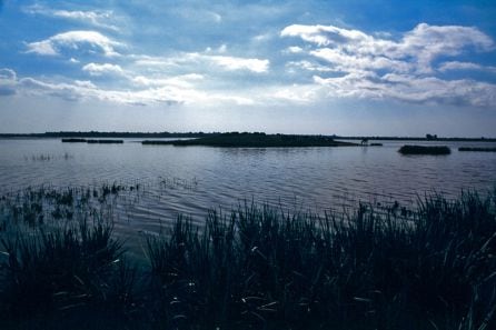 Marismas de Doñana