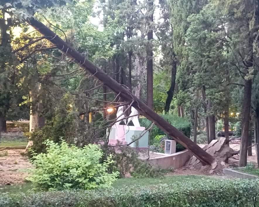 El Parque Miguel Servet fue una de las zonas más afectadas por la tormenta
