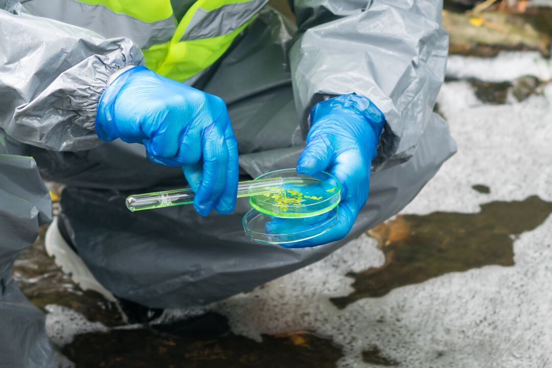 Toma de muestras en plato petri para analítica de aguas residuales